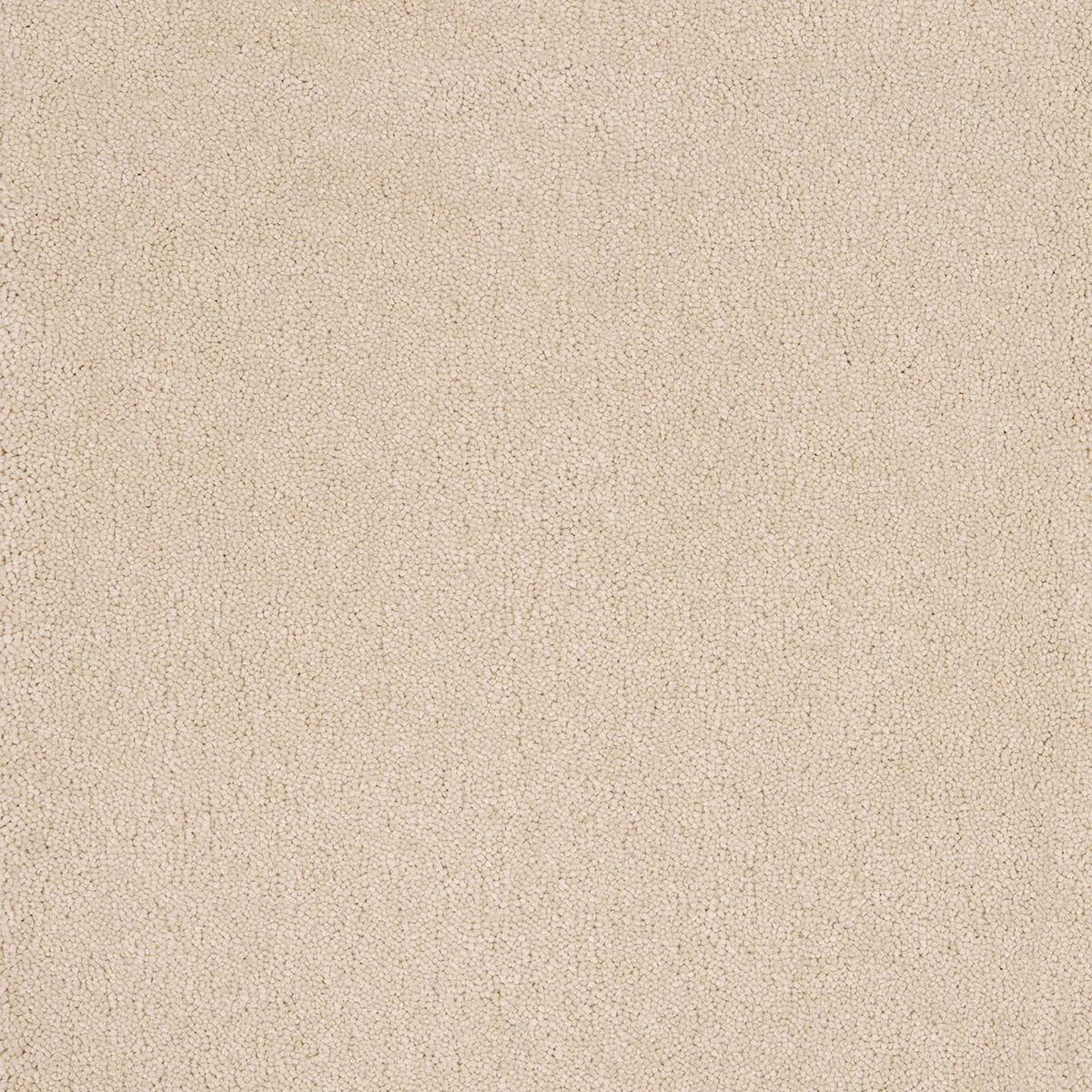 Aquarius 09 - Cotton
