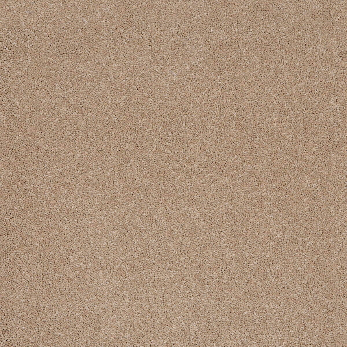 Aquarius 09 - Cotton