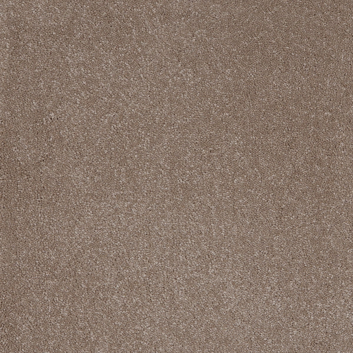 Aquarius 09 - Cotton