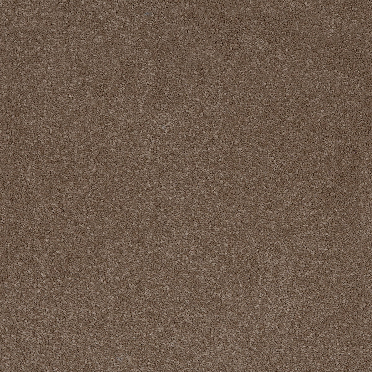 Aquarius 09 - Cotton