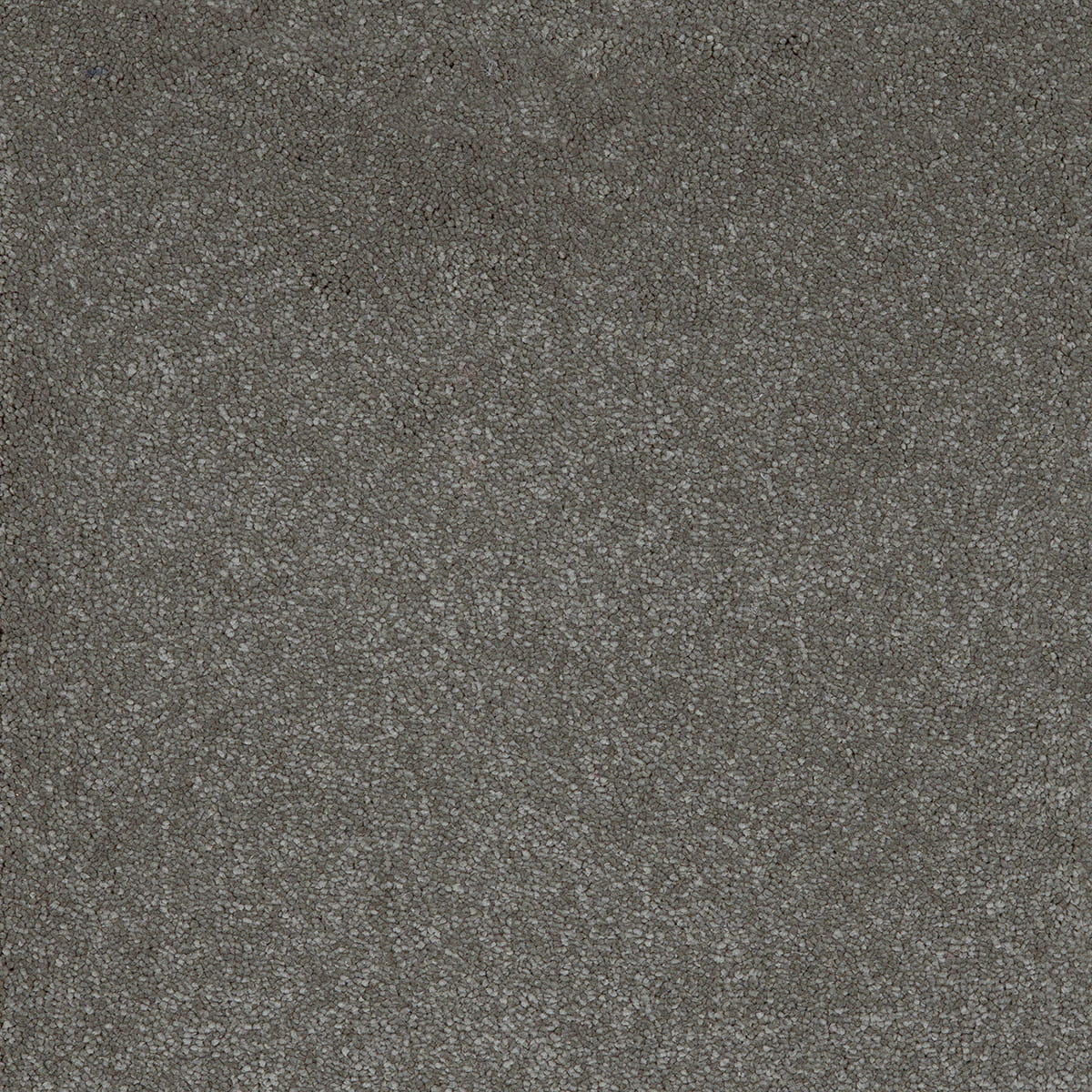 Aquarius 09 - Cotton