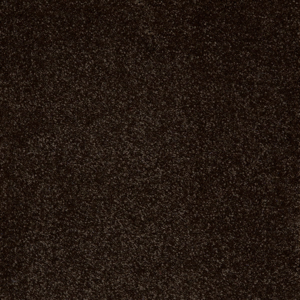 Aquarius 09 - Cotton