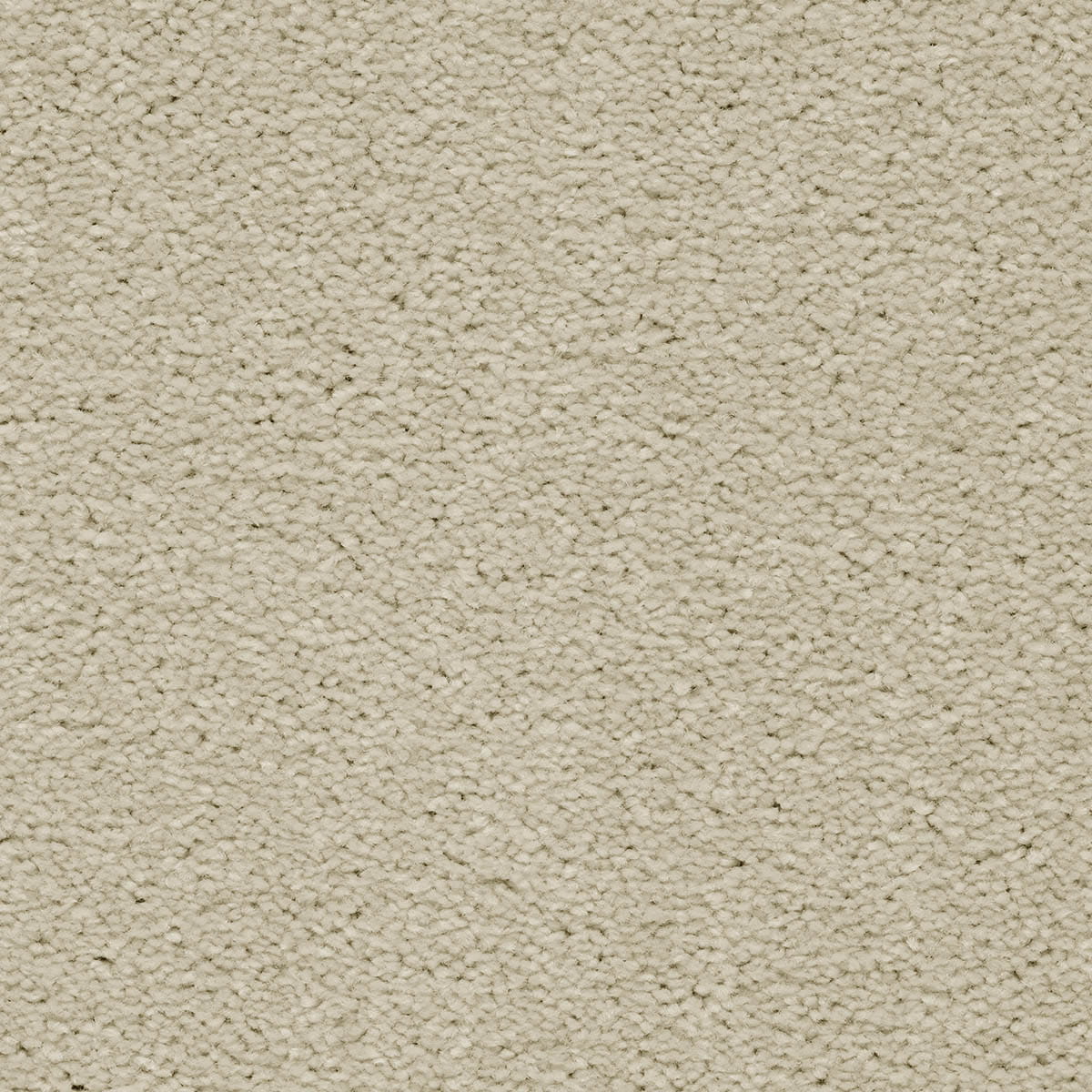 Brooklyn 96 - Apollo