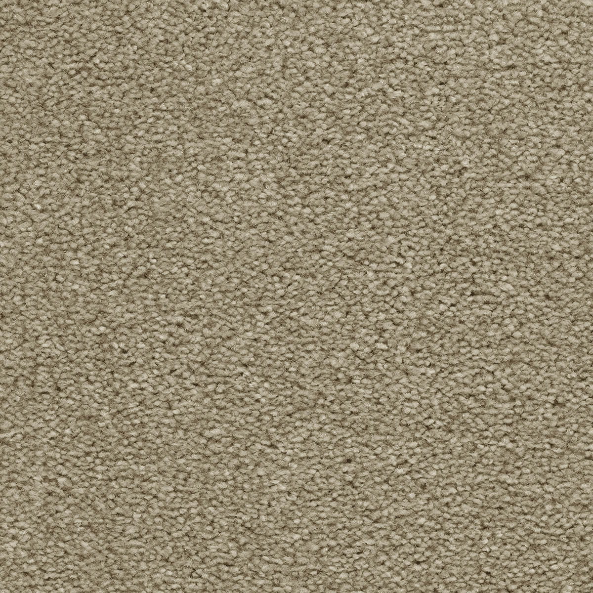 Brooklyn 96 - Apollo