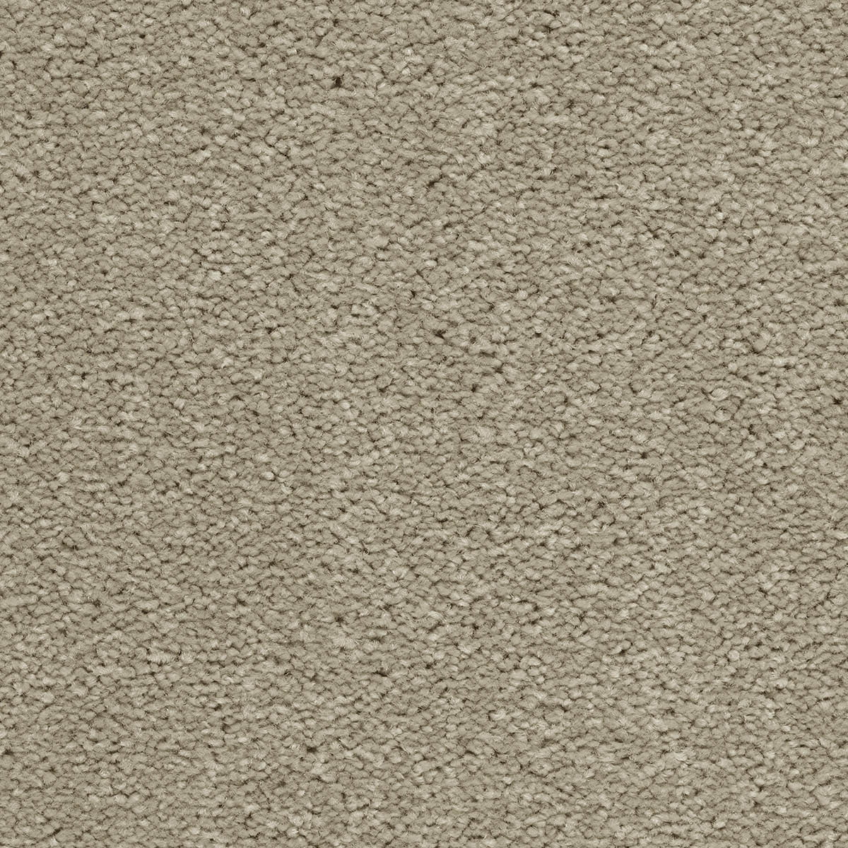 Brooklyn 96 - Apollo