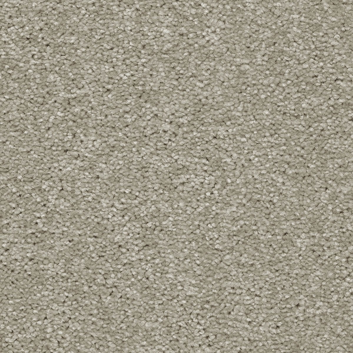 Brooklyn 96 - Apollo