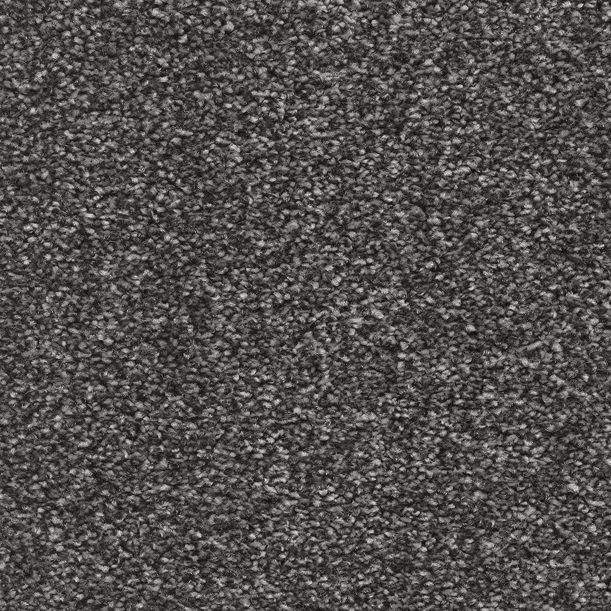 Brooklyn 96 - Apollo