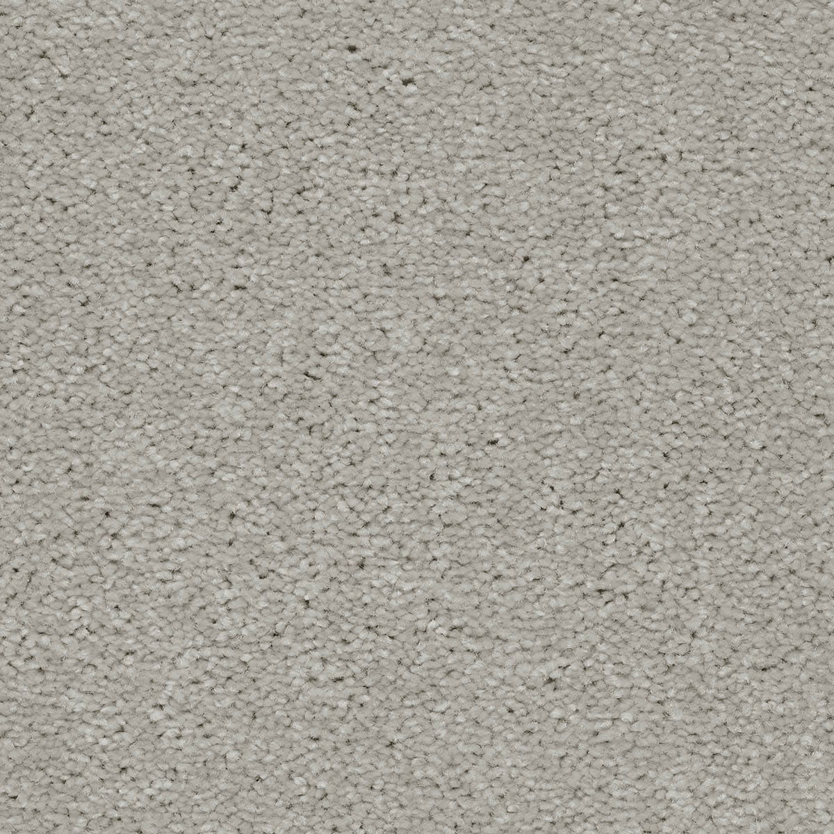 Brooklyn 96 - Apollo