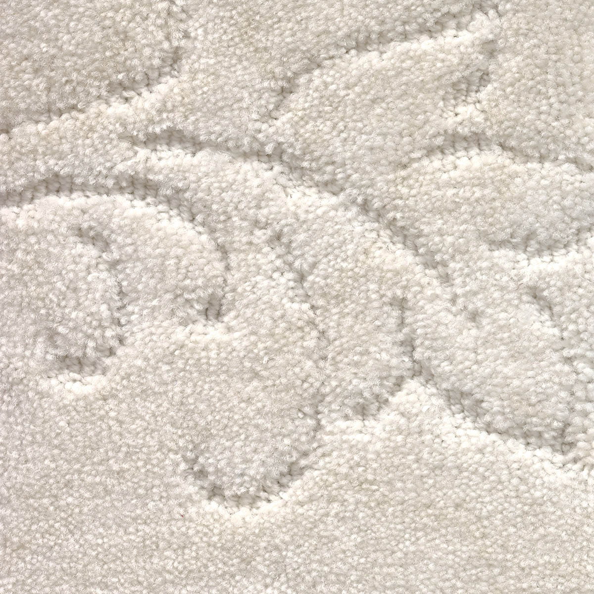 California Dreams New 36 - Muslin