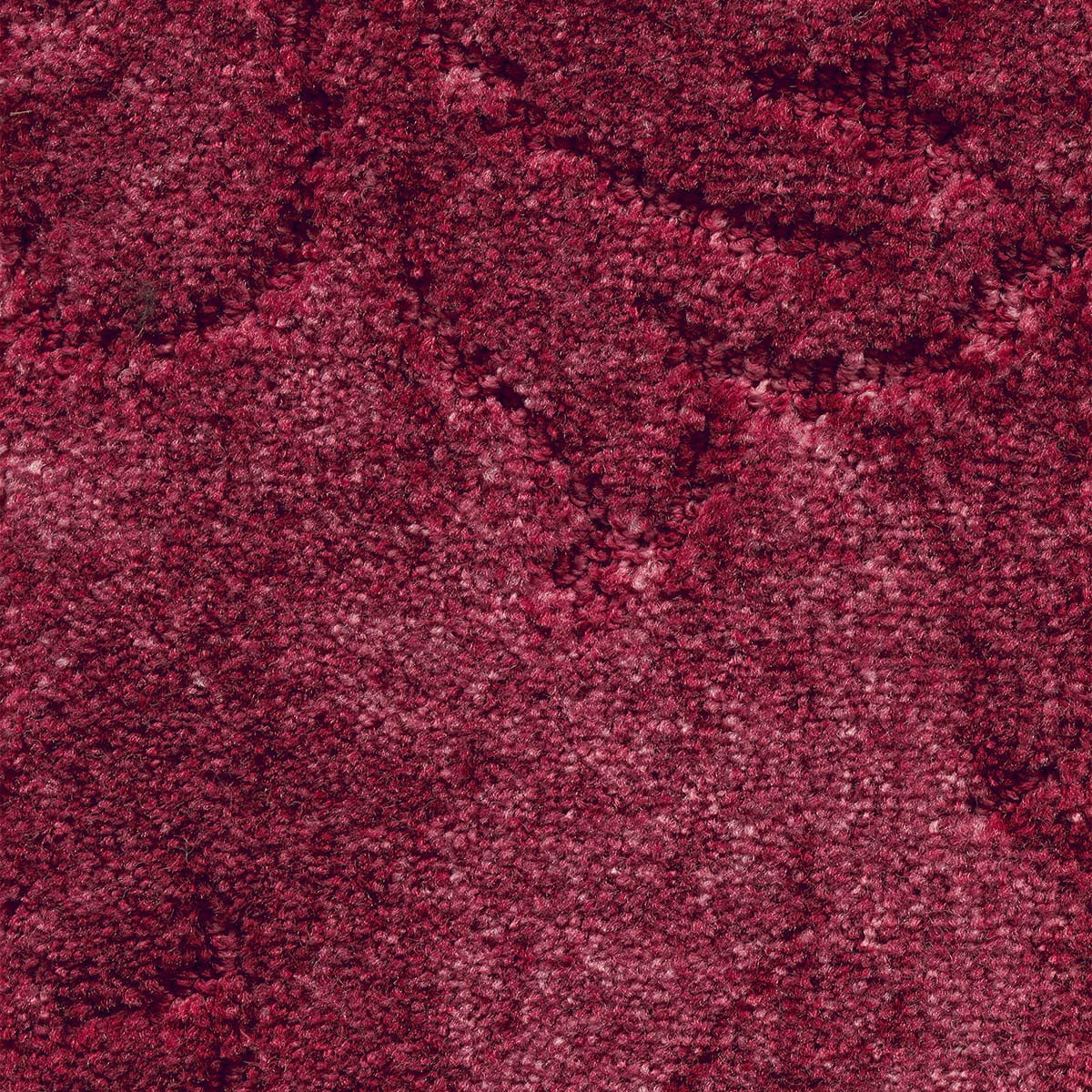 California Dreams New 36 - Muslin