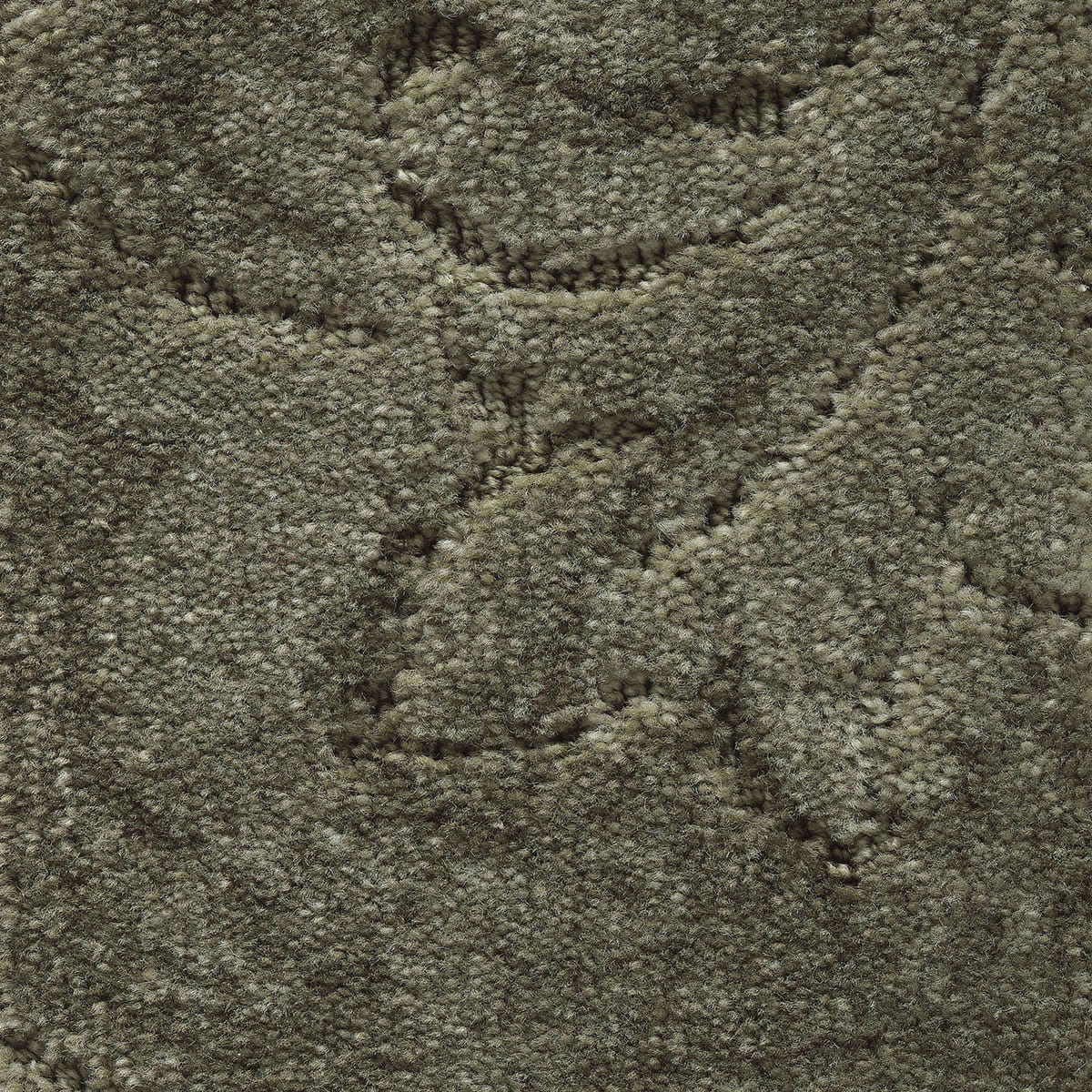 California Dreams New 36 - Muslin