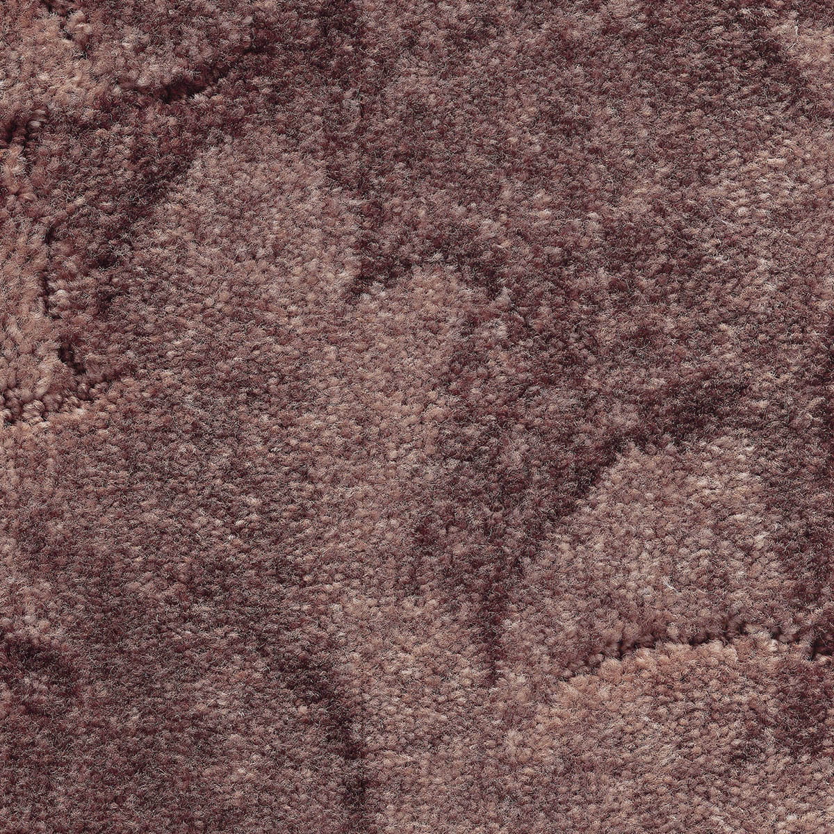 California Dreams New 36 - Muslin