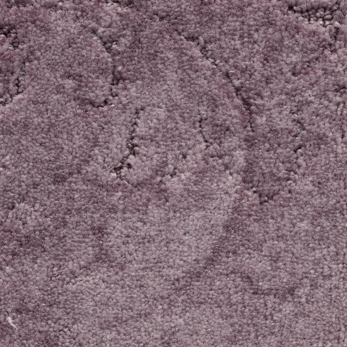 California Dreams New 36 - Muslin