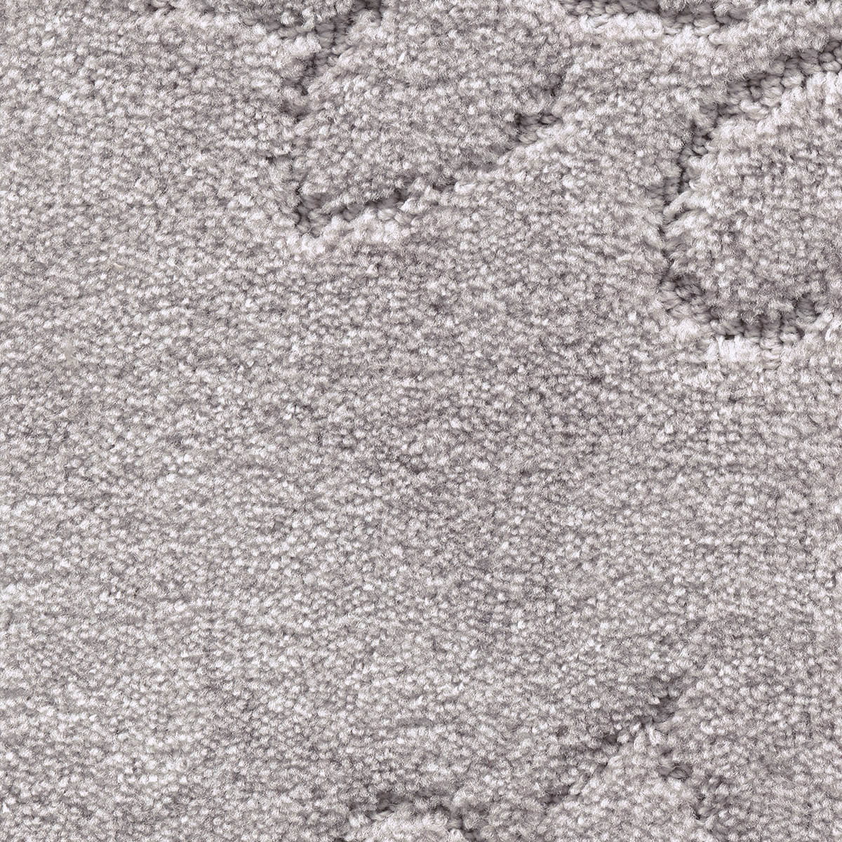 California Dreams New 36 - Muslin