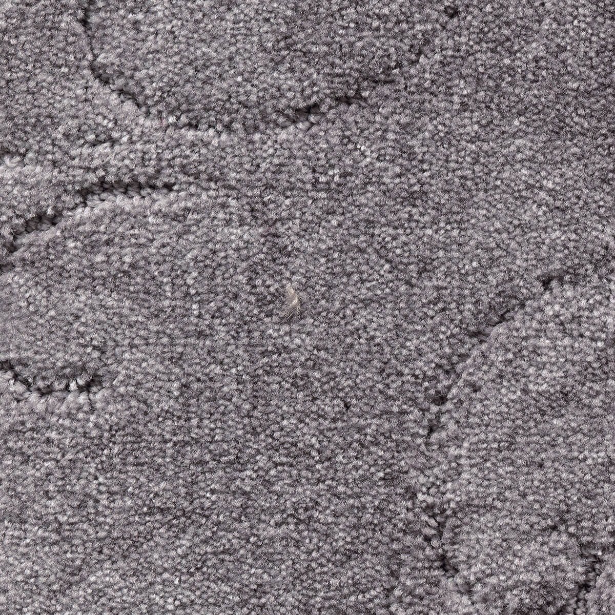 California Dreams New 36 - Muslin