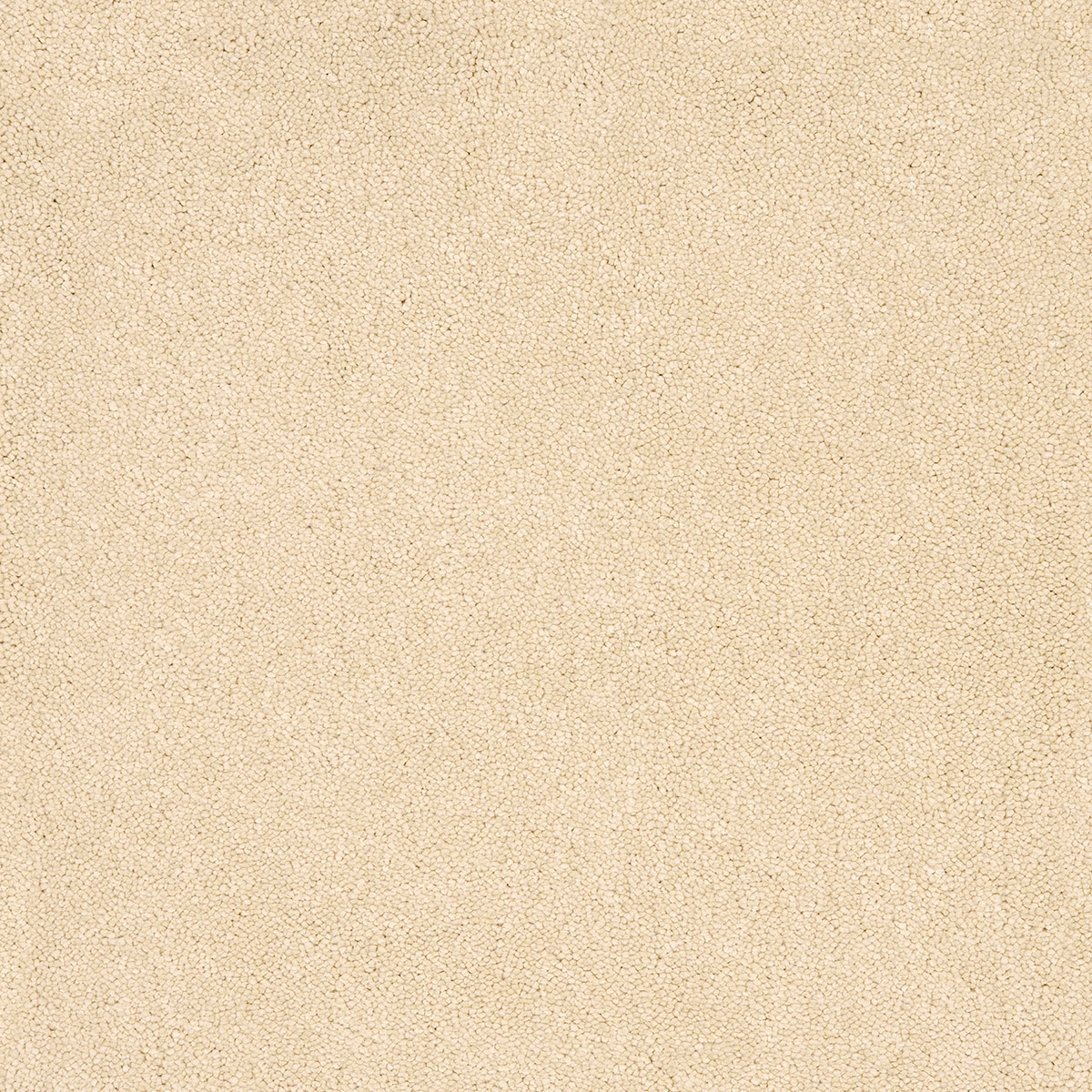 Aries 09 - Cotton