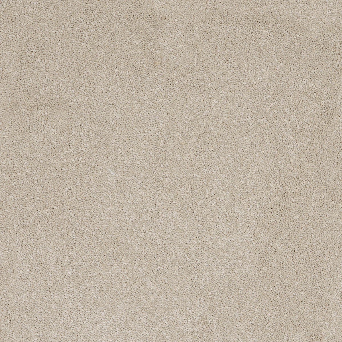 Aries 09 - Cotton