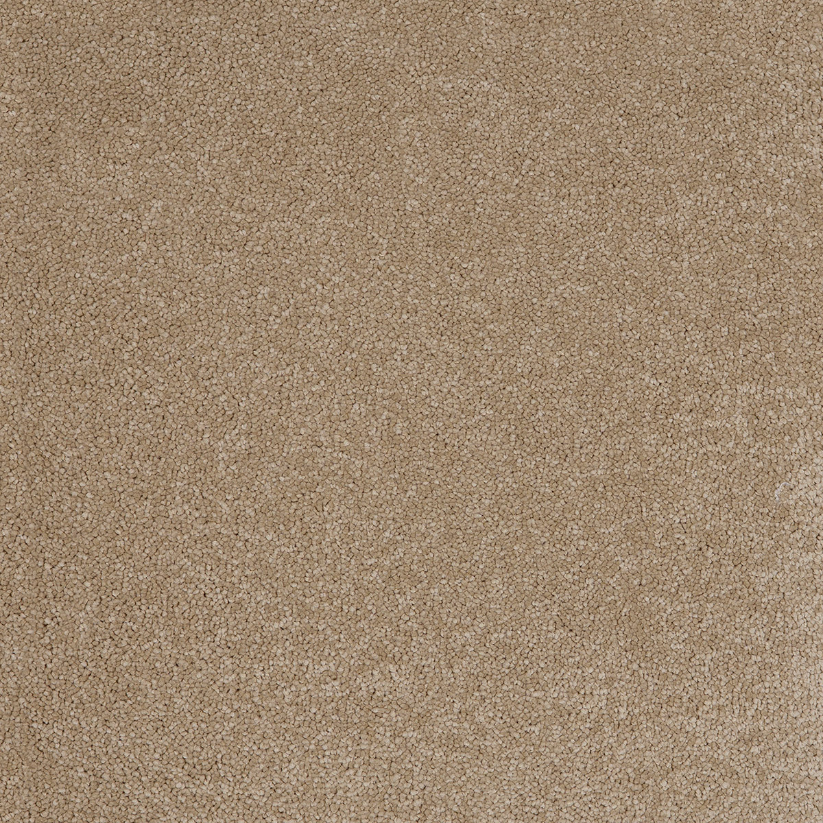 Aries 09 - Cotton