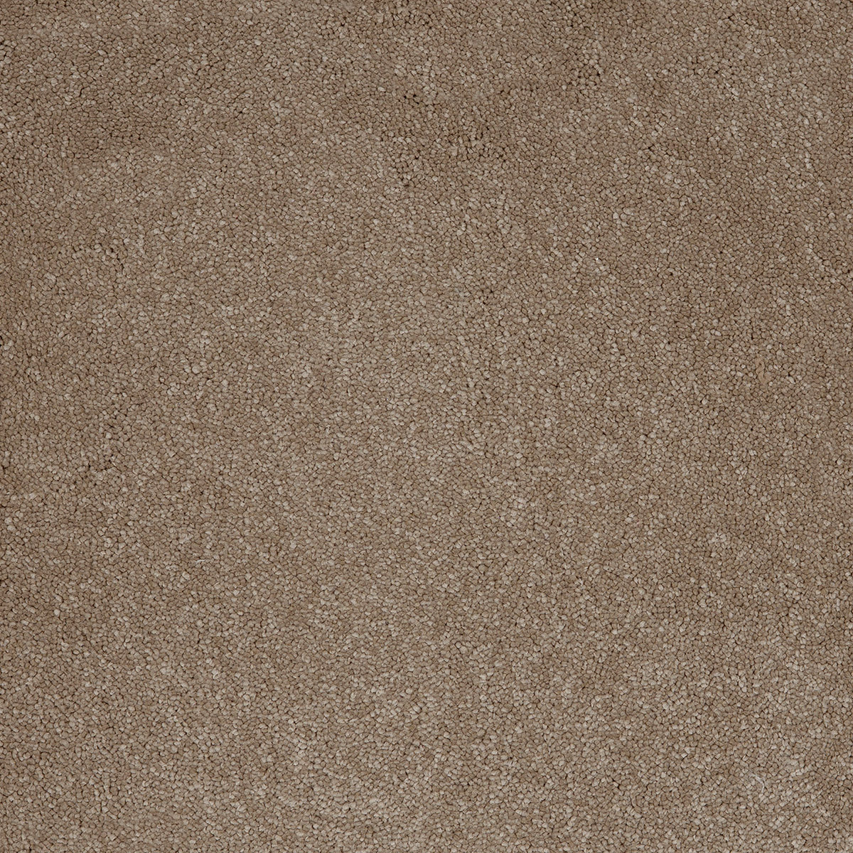 Aries 09 - Cotton