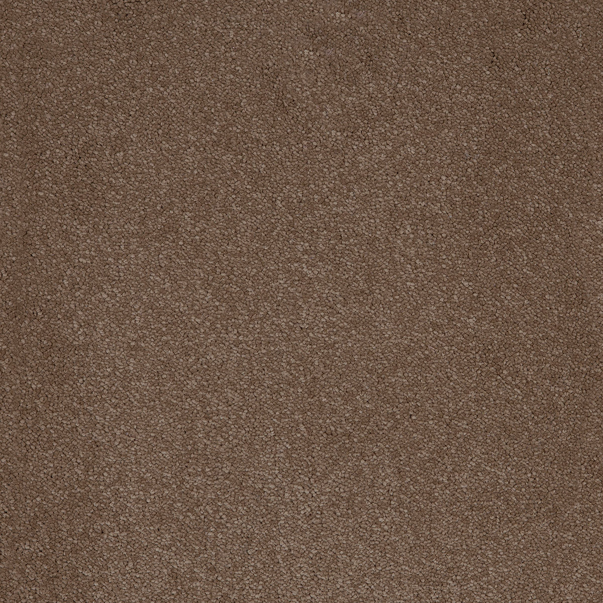 Aries 09 - Cotton