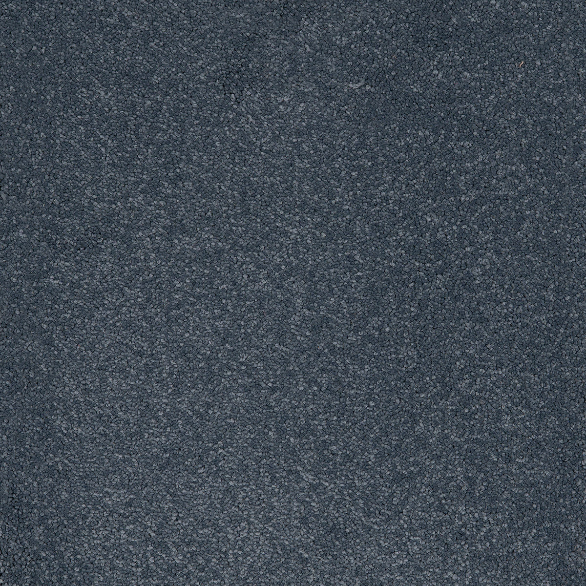 Aries 09 - Cotton