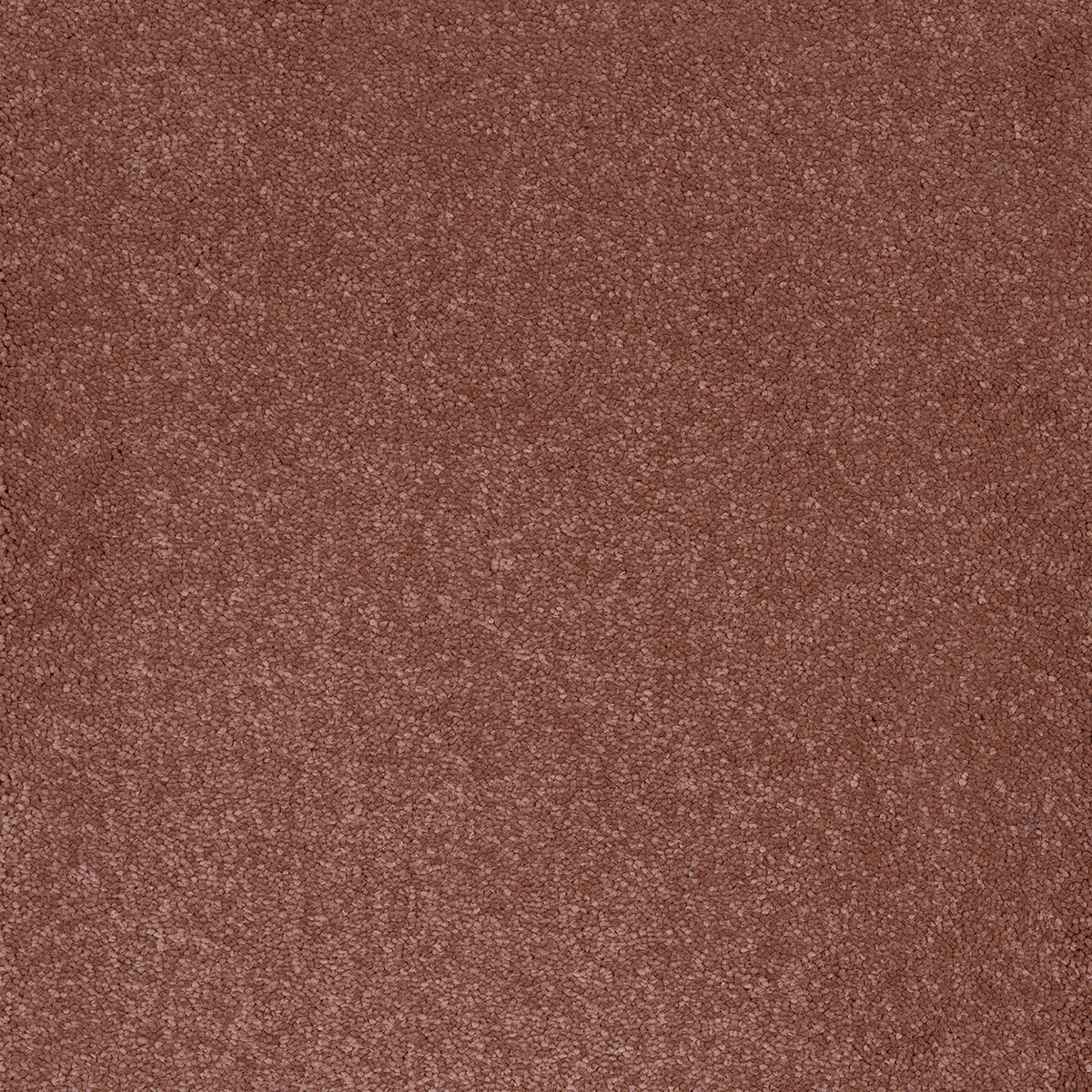 Aries 09 - Cotton