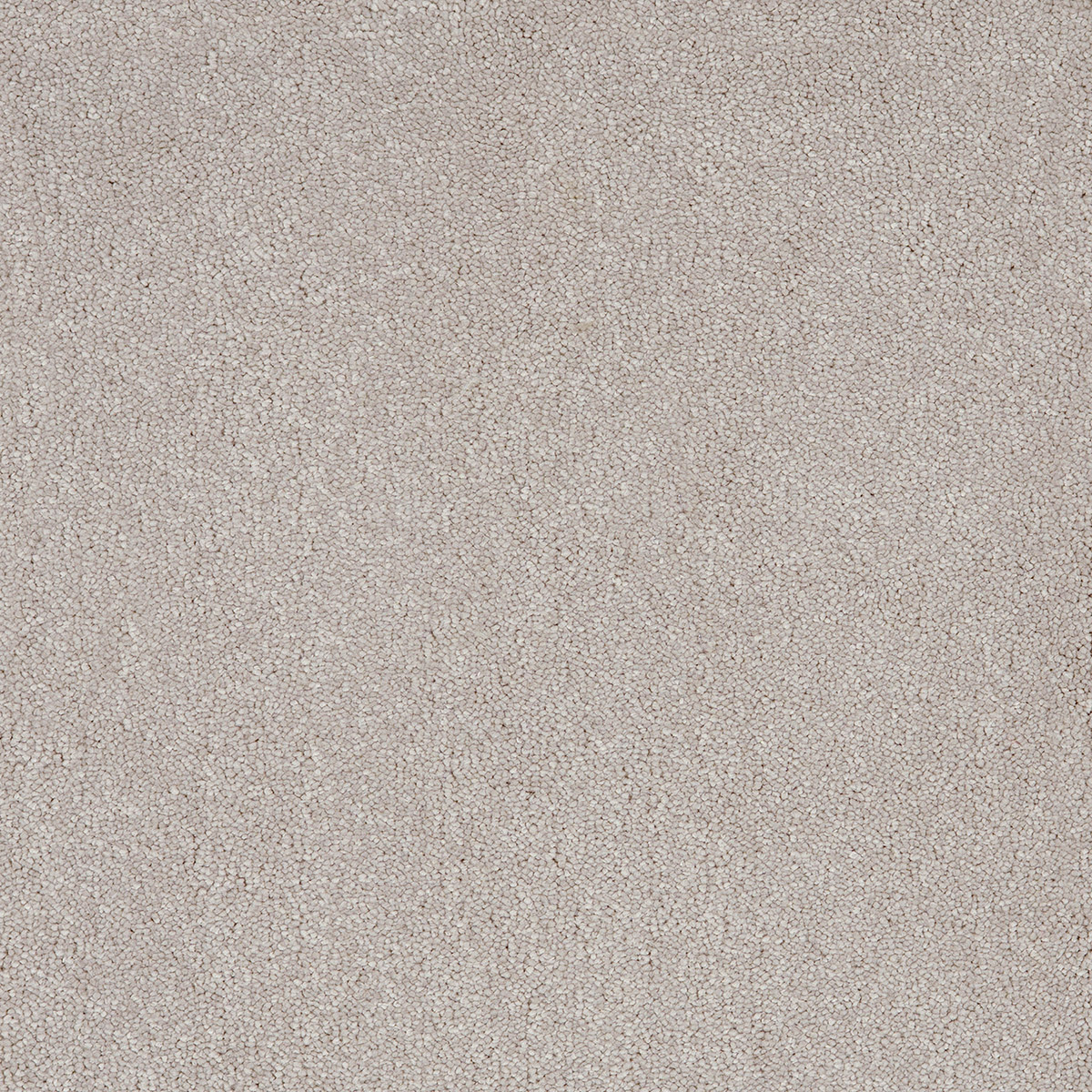 Aries 09 - Cotton