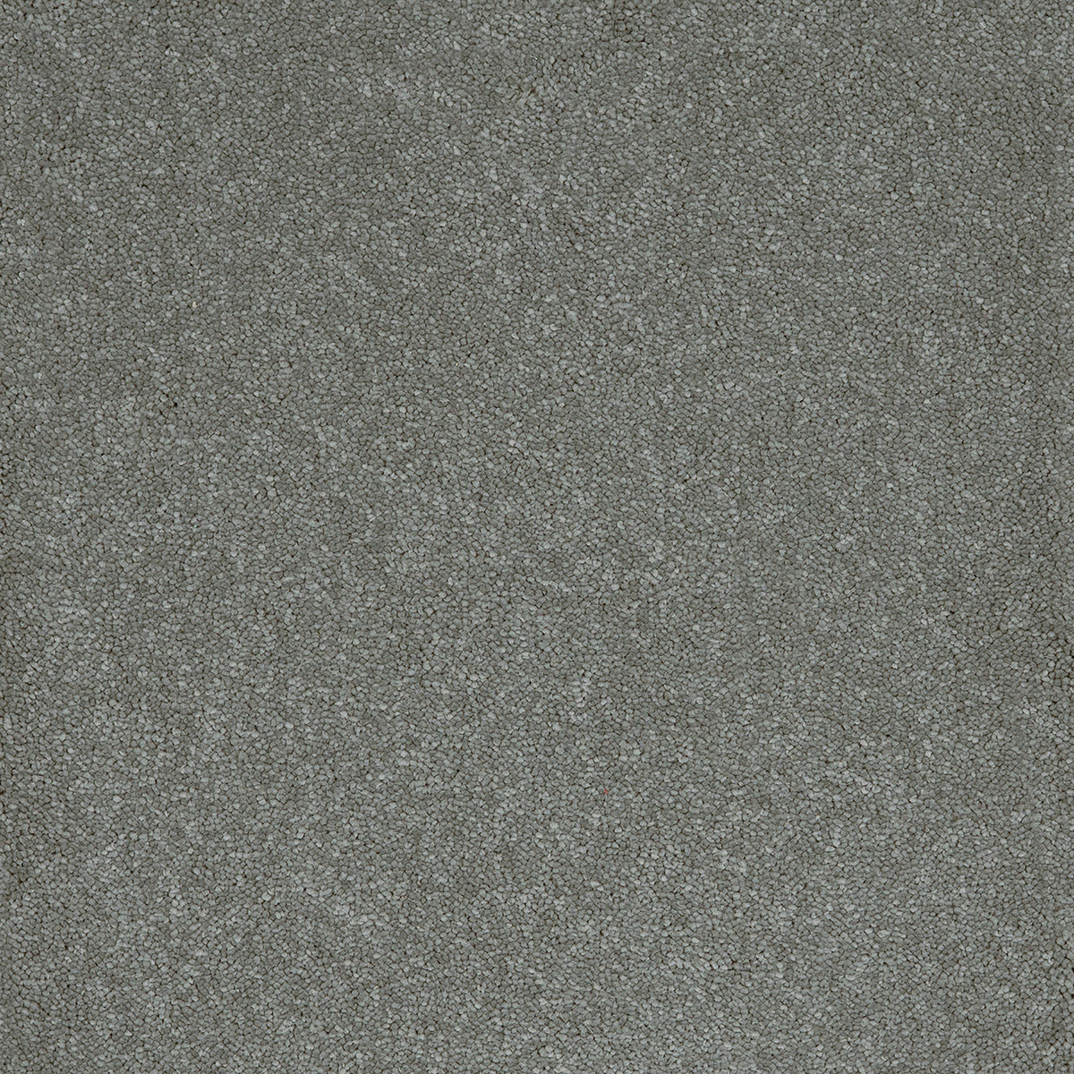 Aries 09 - Cotton