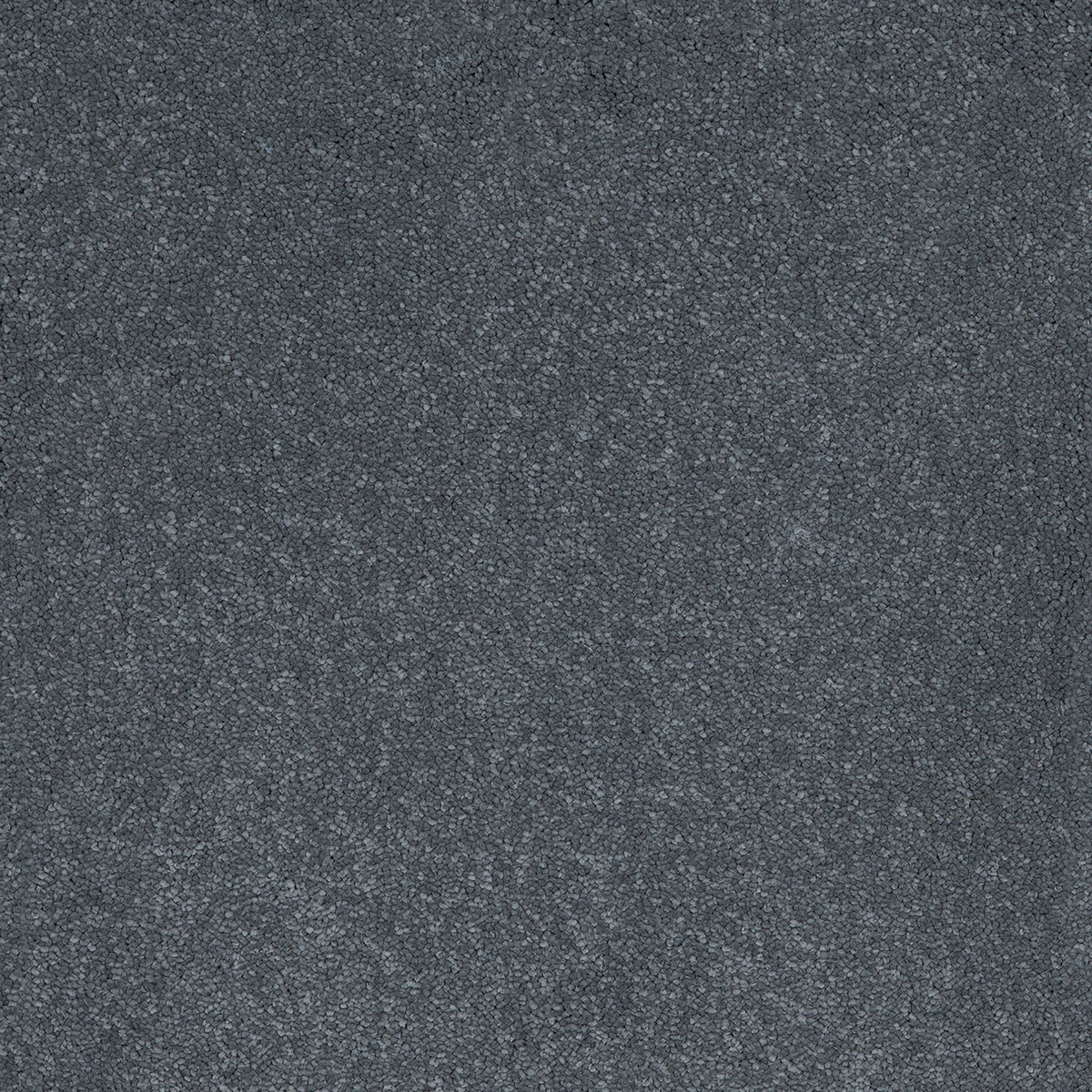 Aries 96 - Fog macro shot