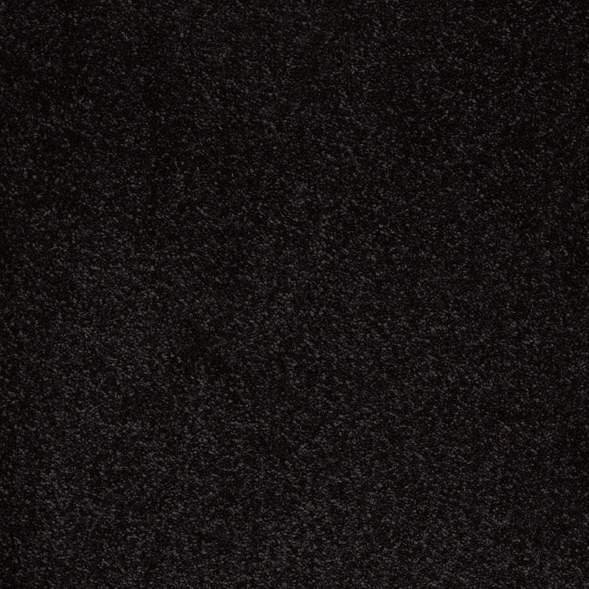 Aries 09 - Cotton
