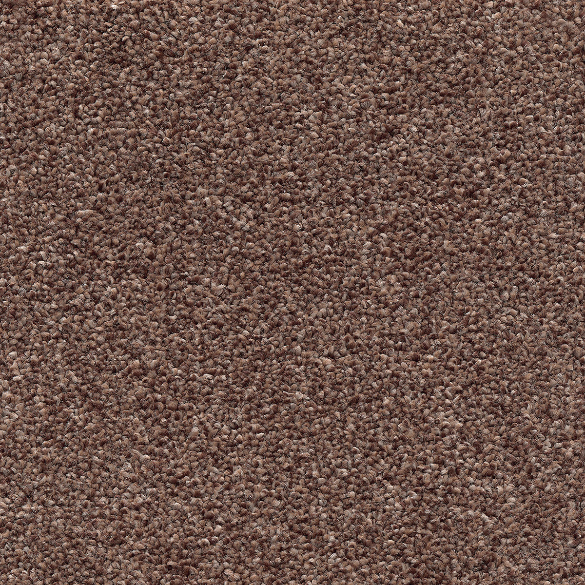 Castor 98 - Anthracite