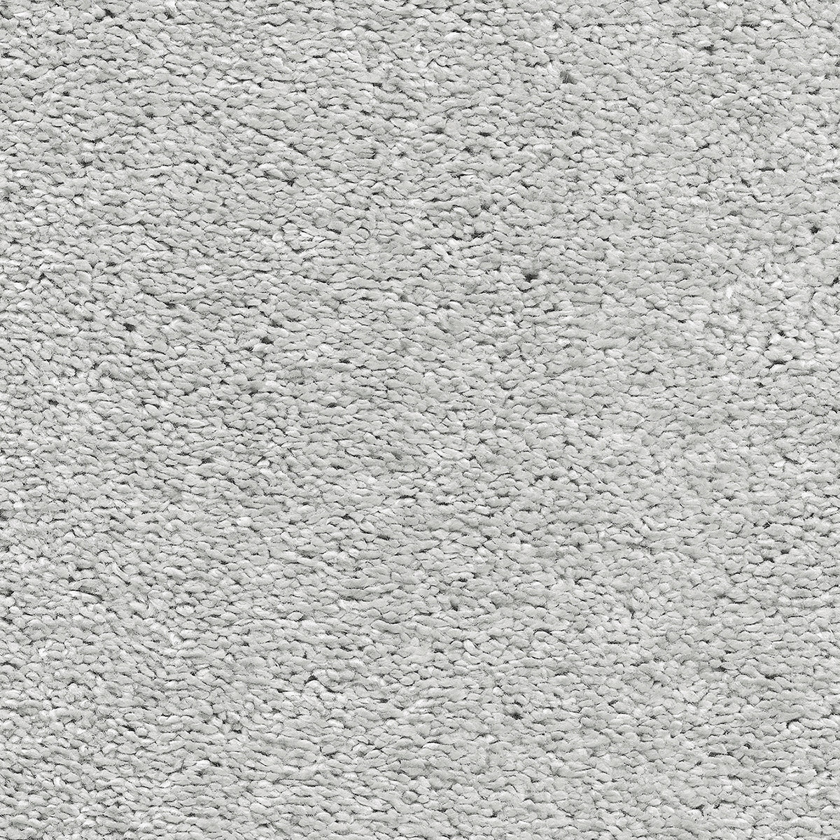 Castor 98 - Anthracite