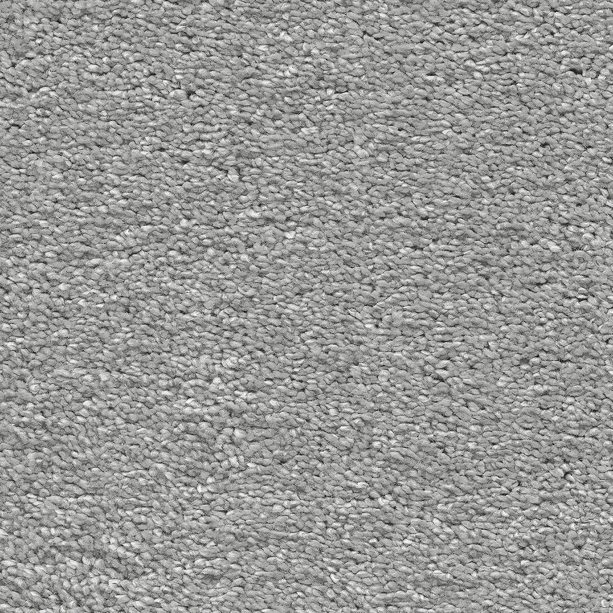 Castor 98 - Anthracite