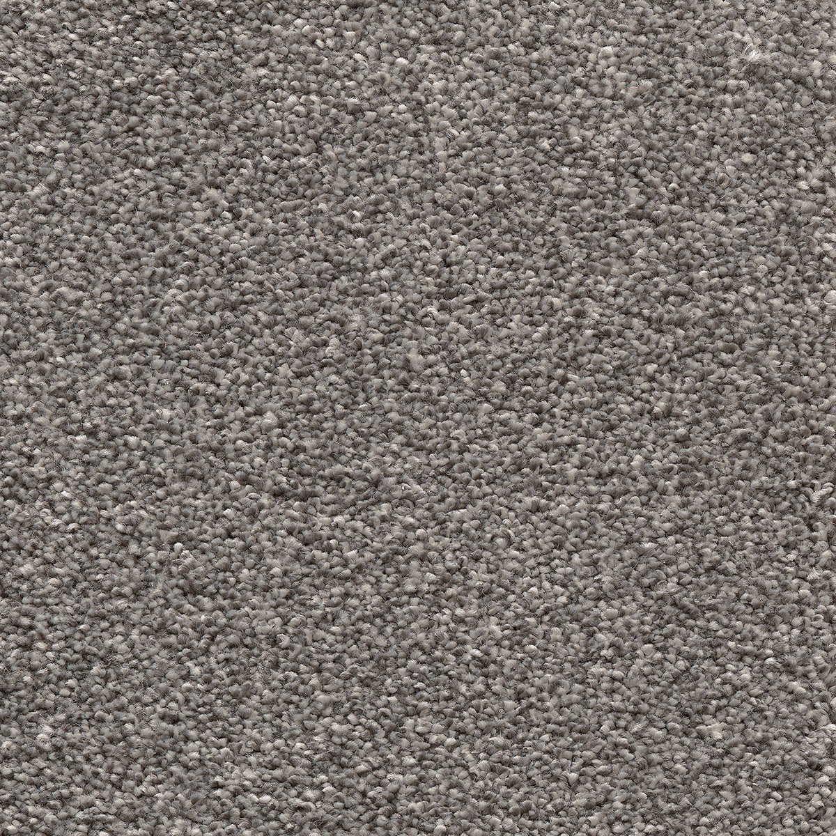 Castor 98 - Anthracite