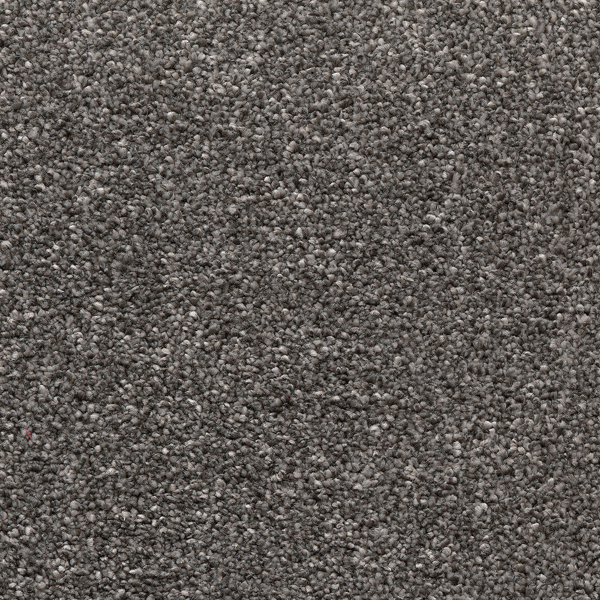 Castor 98 - Anthracite
