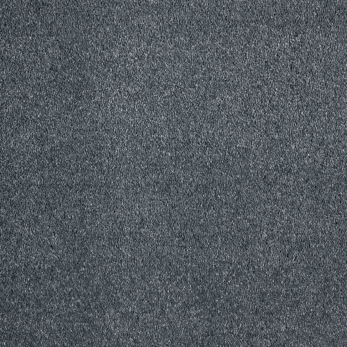 Castor 98 - Anthracite macro shot