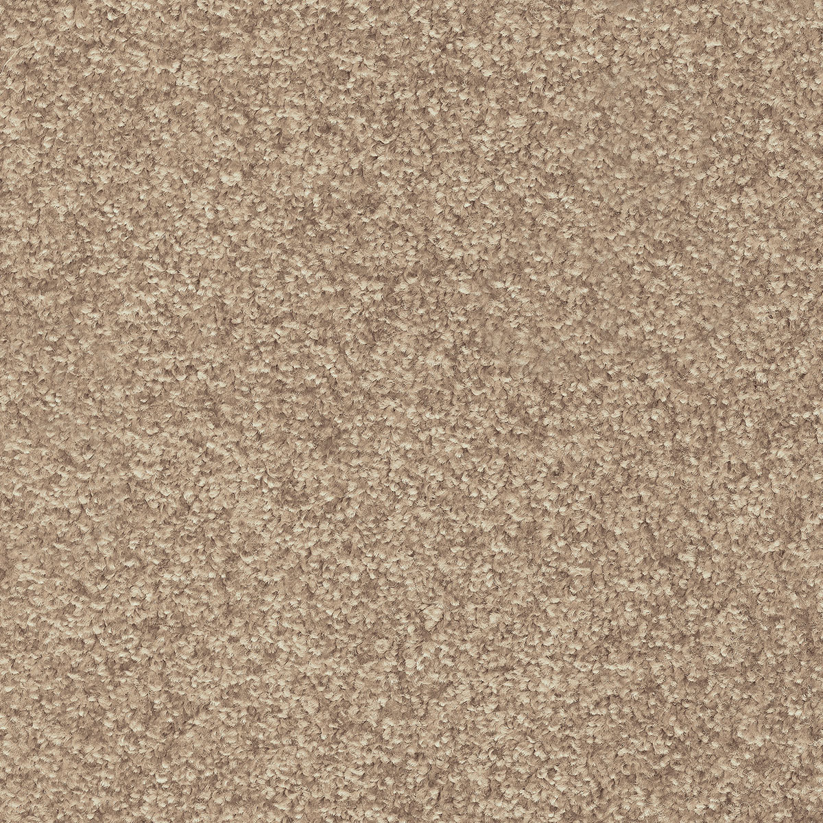 Dorado 27 - Sage Green