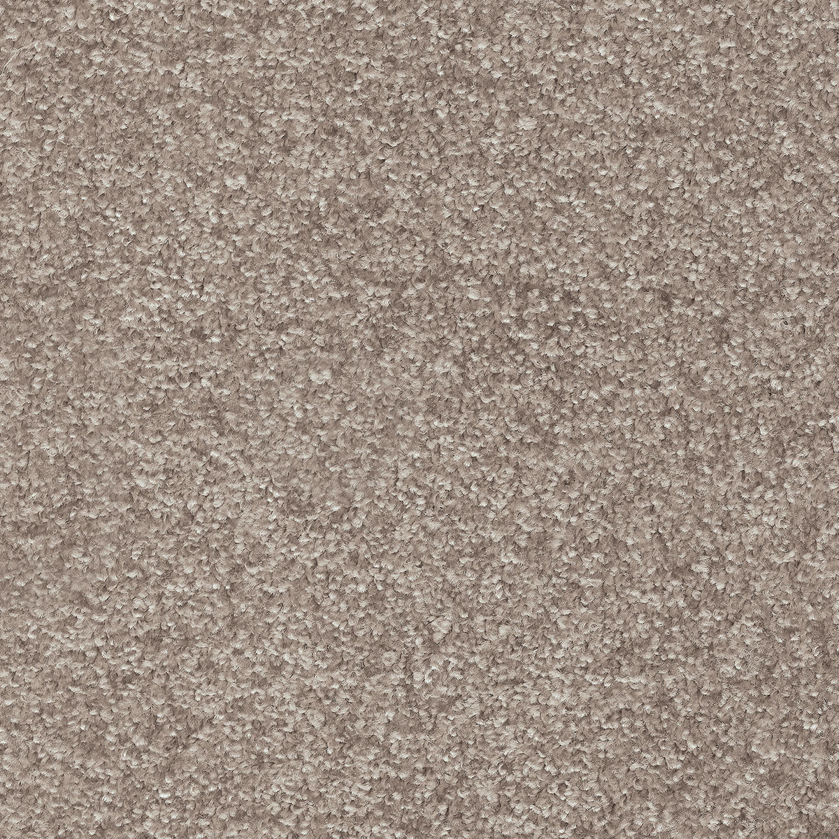 Dorado 27 - Sage Green