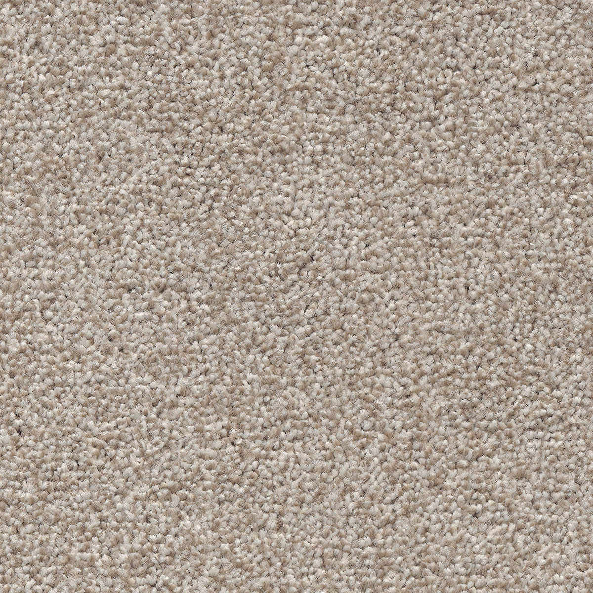 Stainaway Harvest Heathers 04 - Autumn Mist macro shot