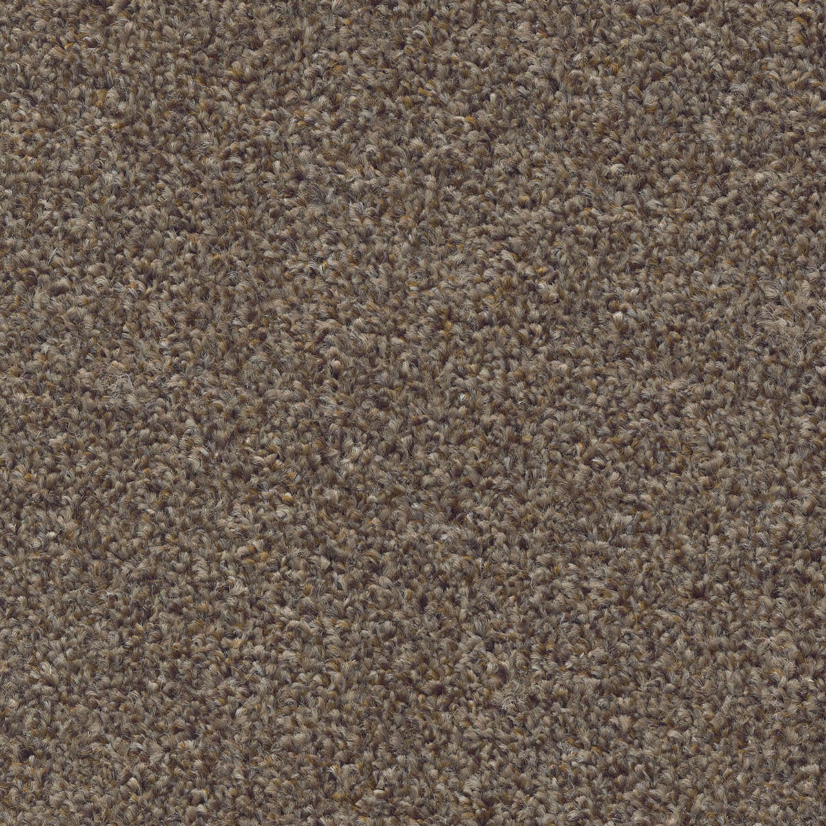 Stainaway Harvest Heathers 04 - Autumn Mist