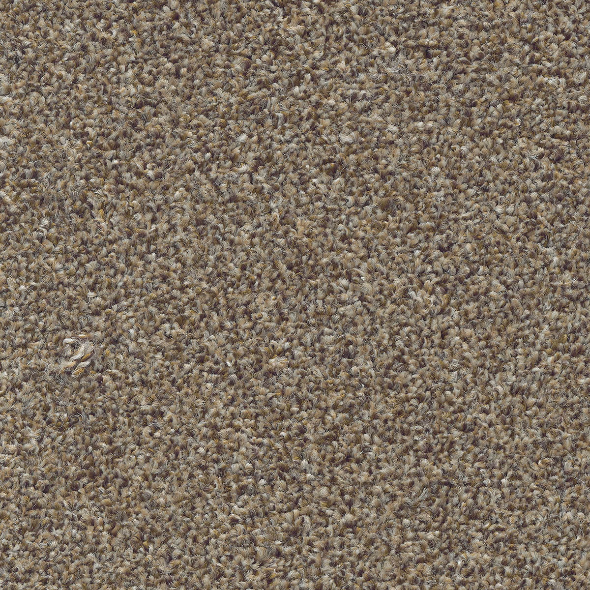 Stainaway Harvest Heathers 04 - Autumn Mist