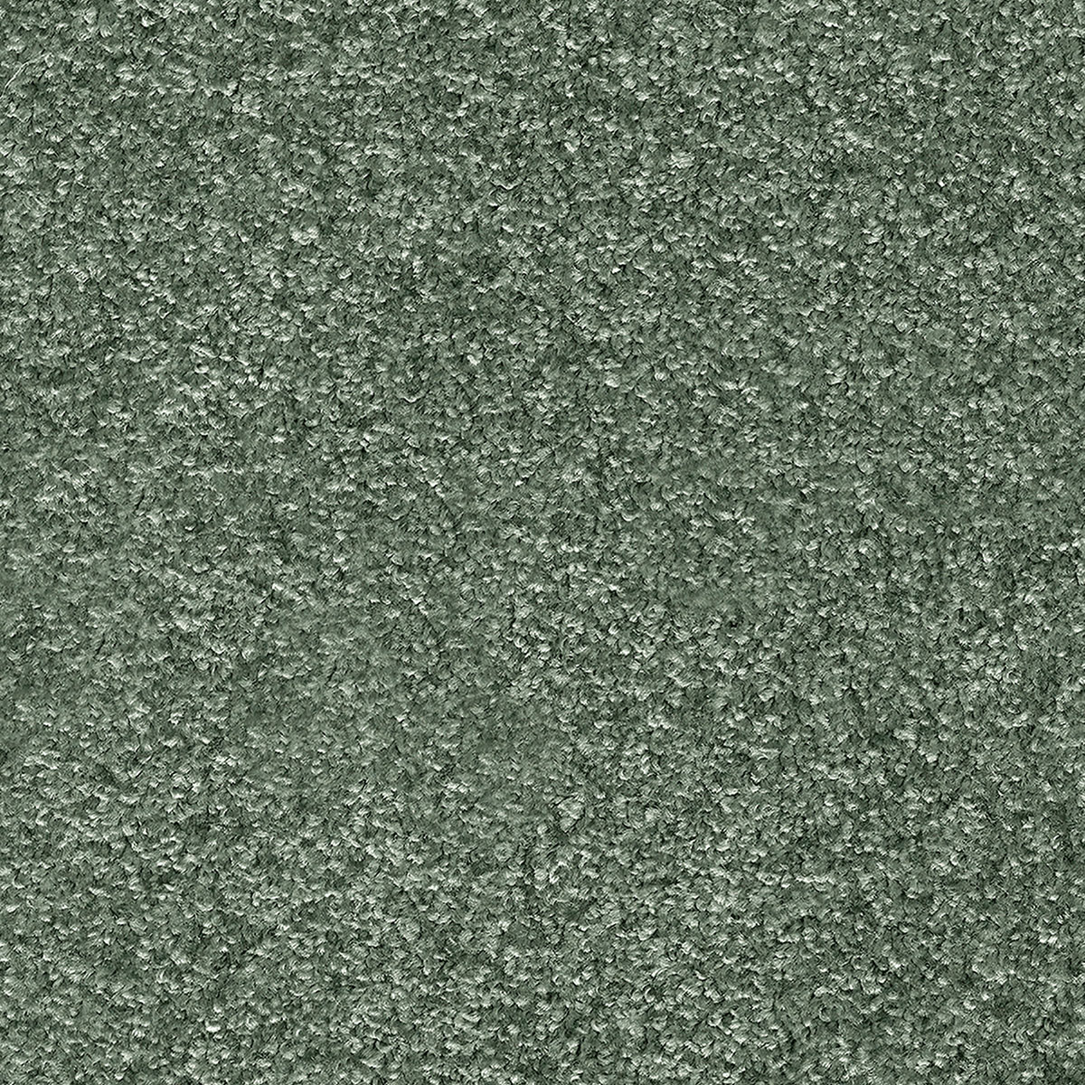 Indus 27 - Sage Green macro shot