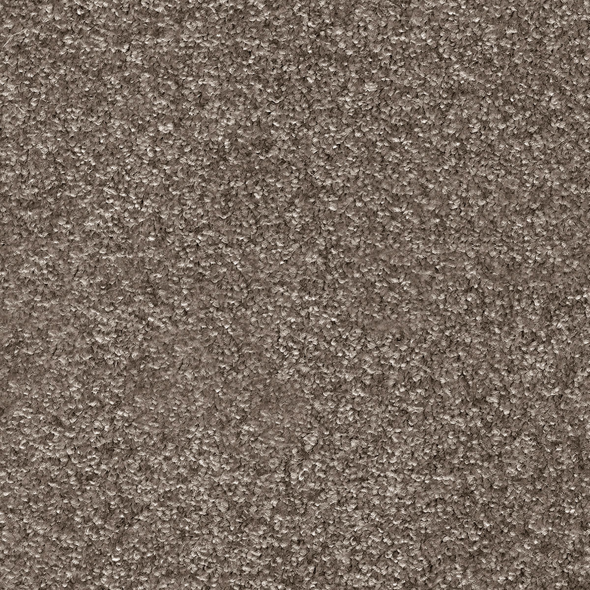 Indus 27 - Sage Green