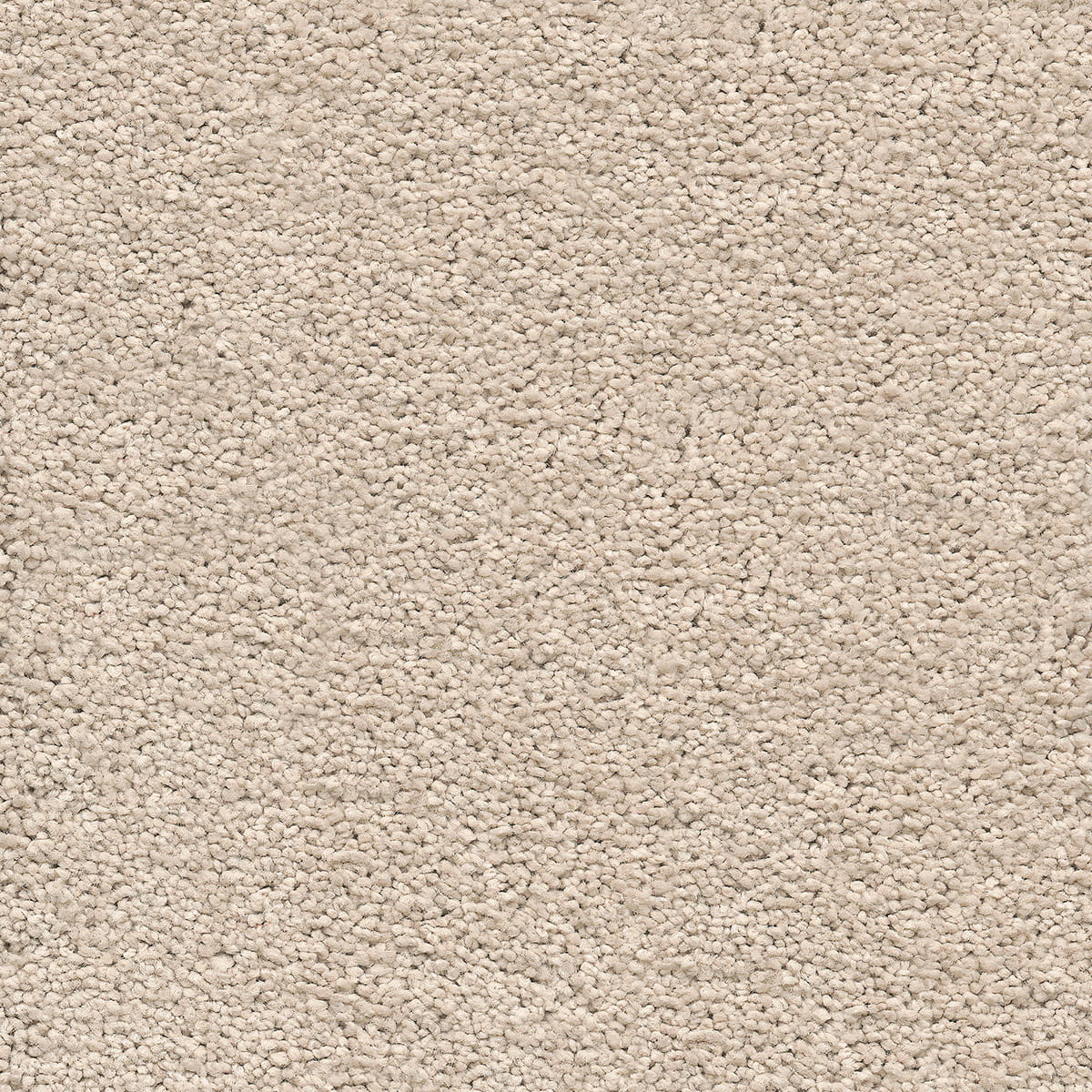 Mood 33 - Cornfield macro shot