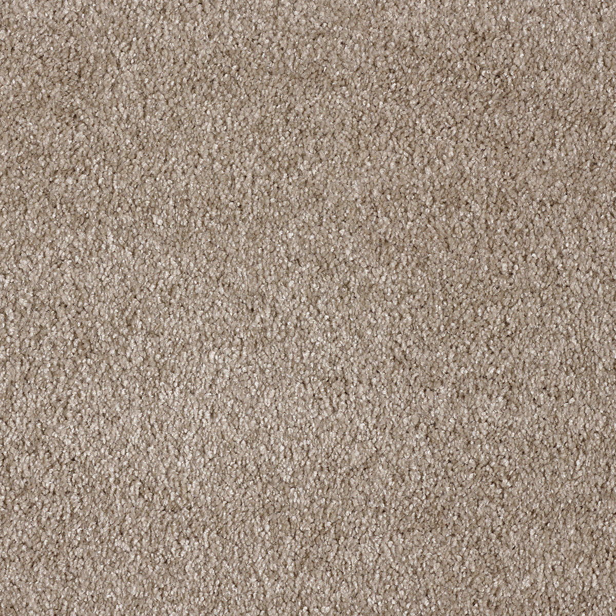 Orinoco 34 - Suede macro shot