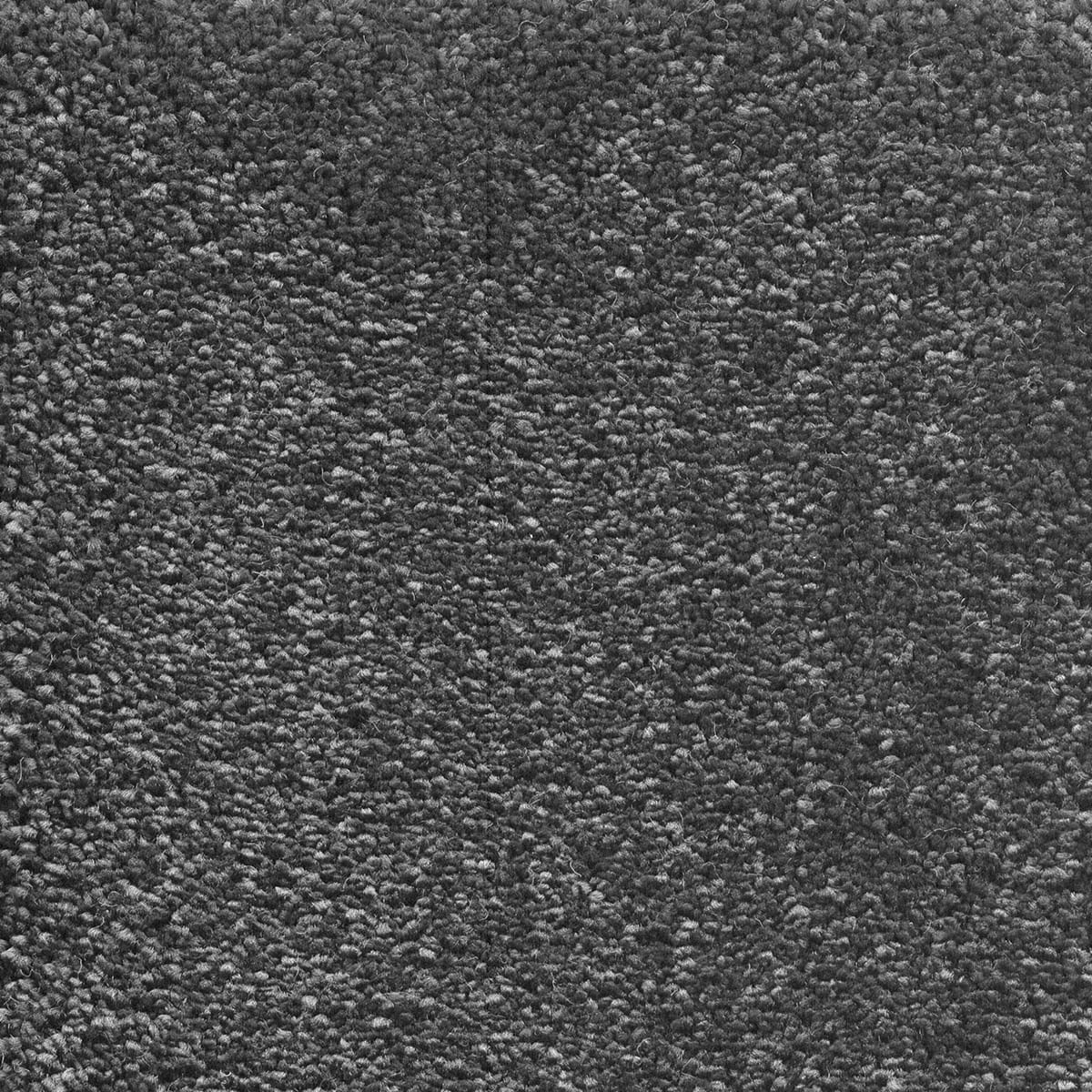 Promenade 99 - Lamp Black macro shot