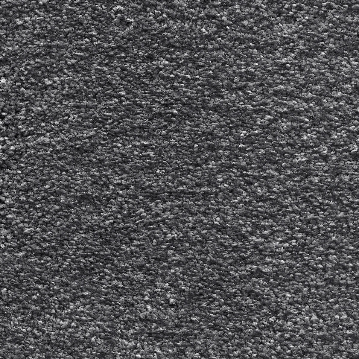 Sirius 97 - Charcoal macro shot