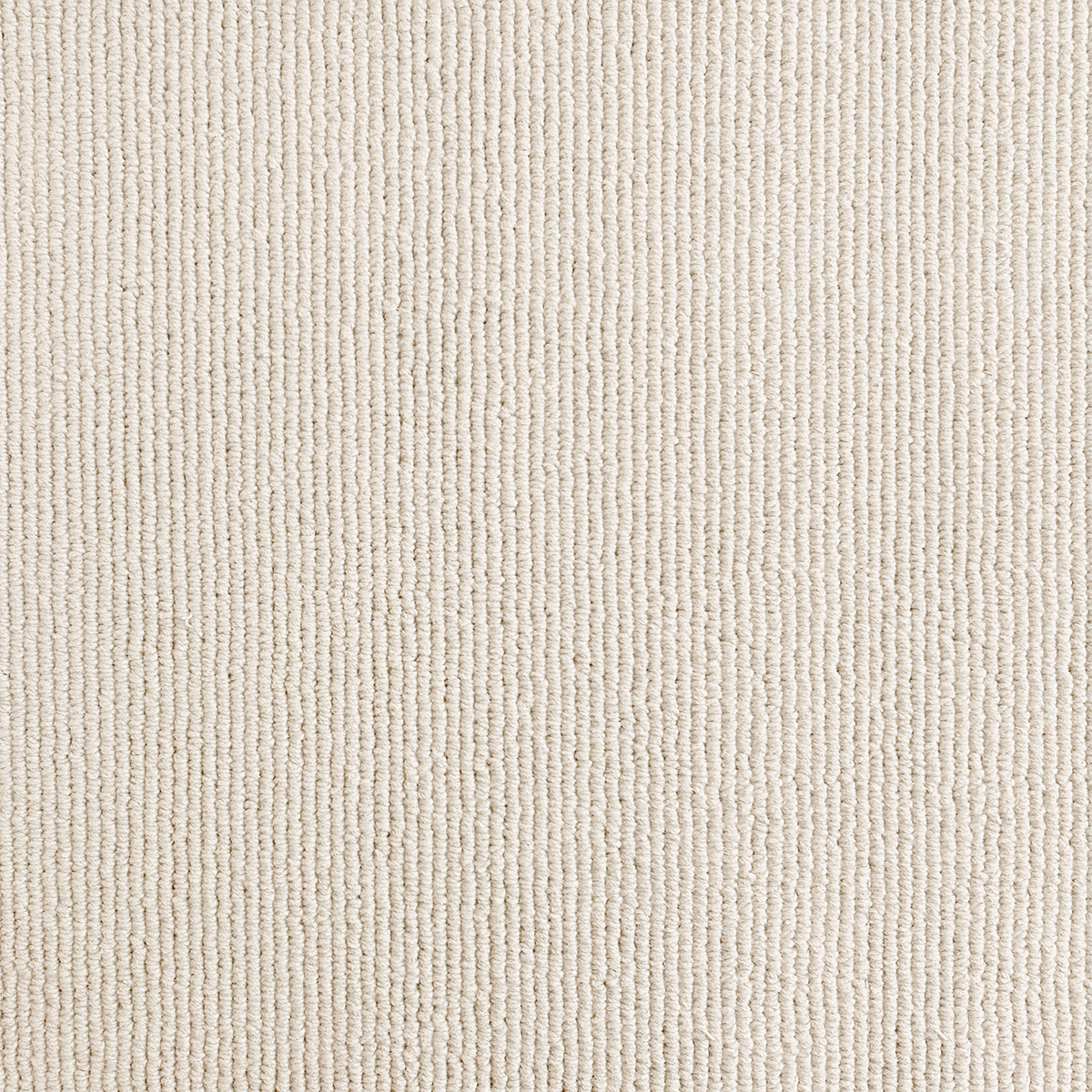 Sarno 37 - Sisal