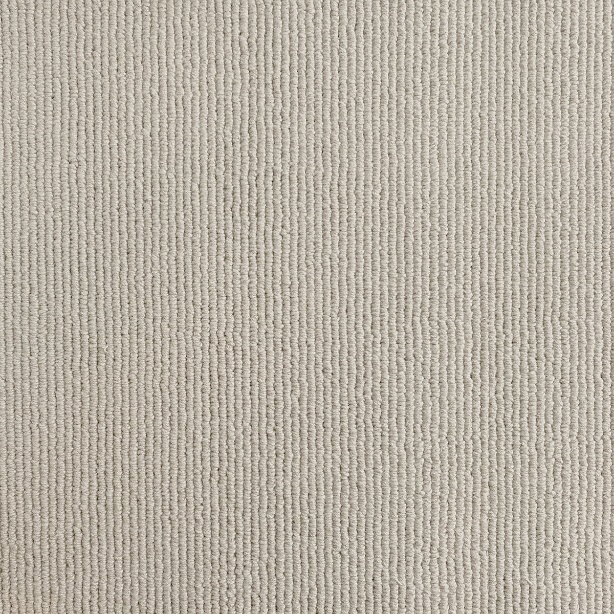 Sarno 37 - Sisal macro shot