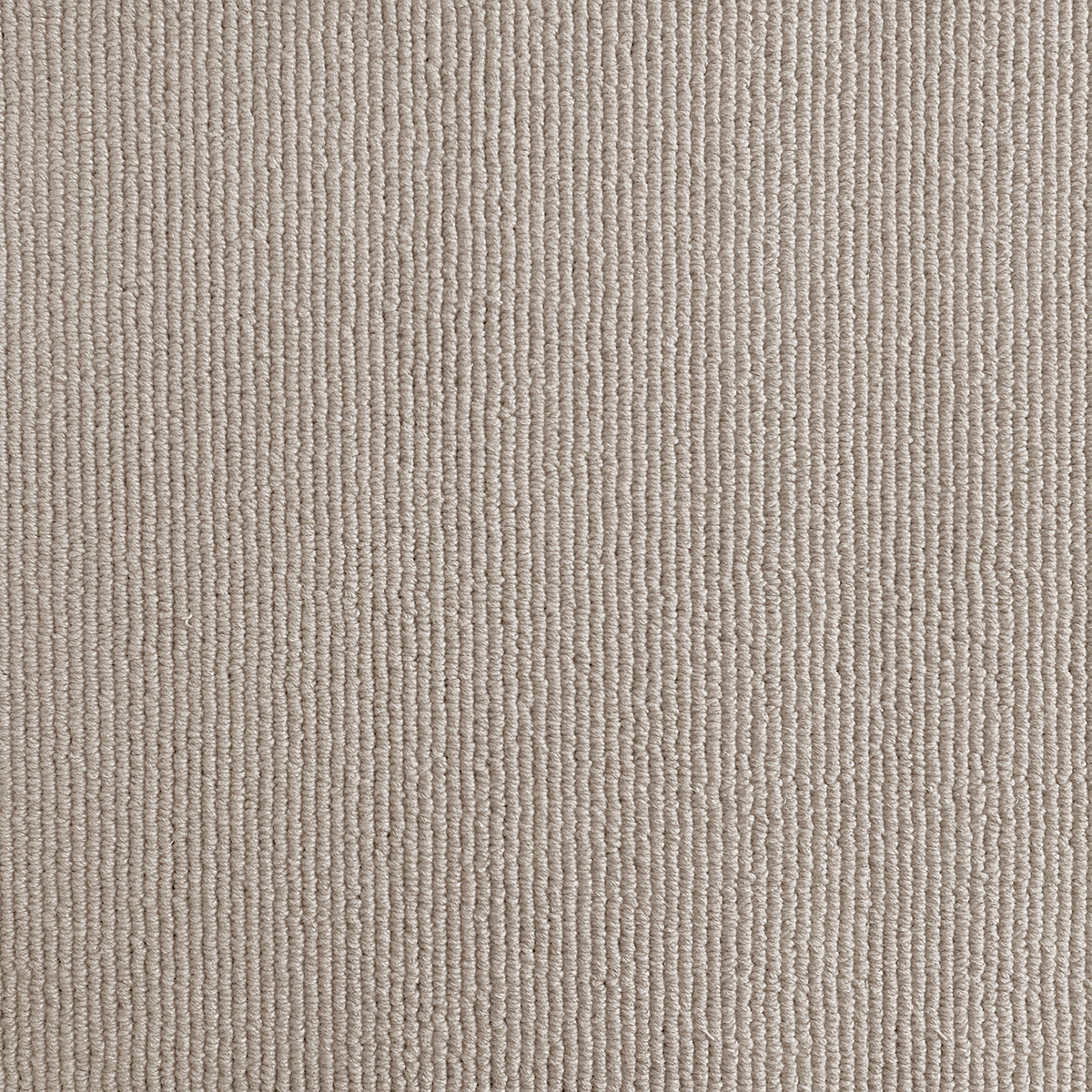 Sarno 37 - Sisal